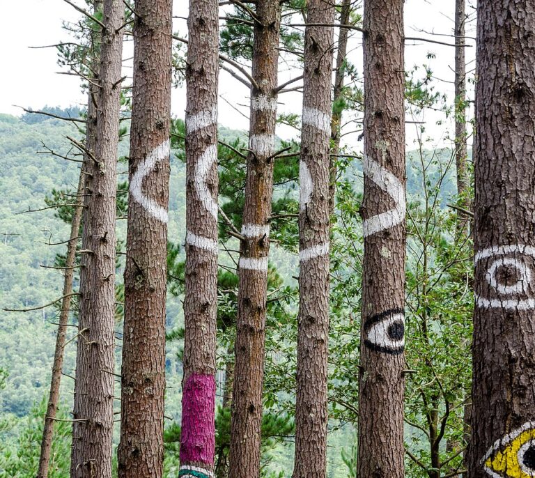 El 'Bosque de Oma' se muere
