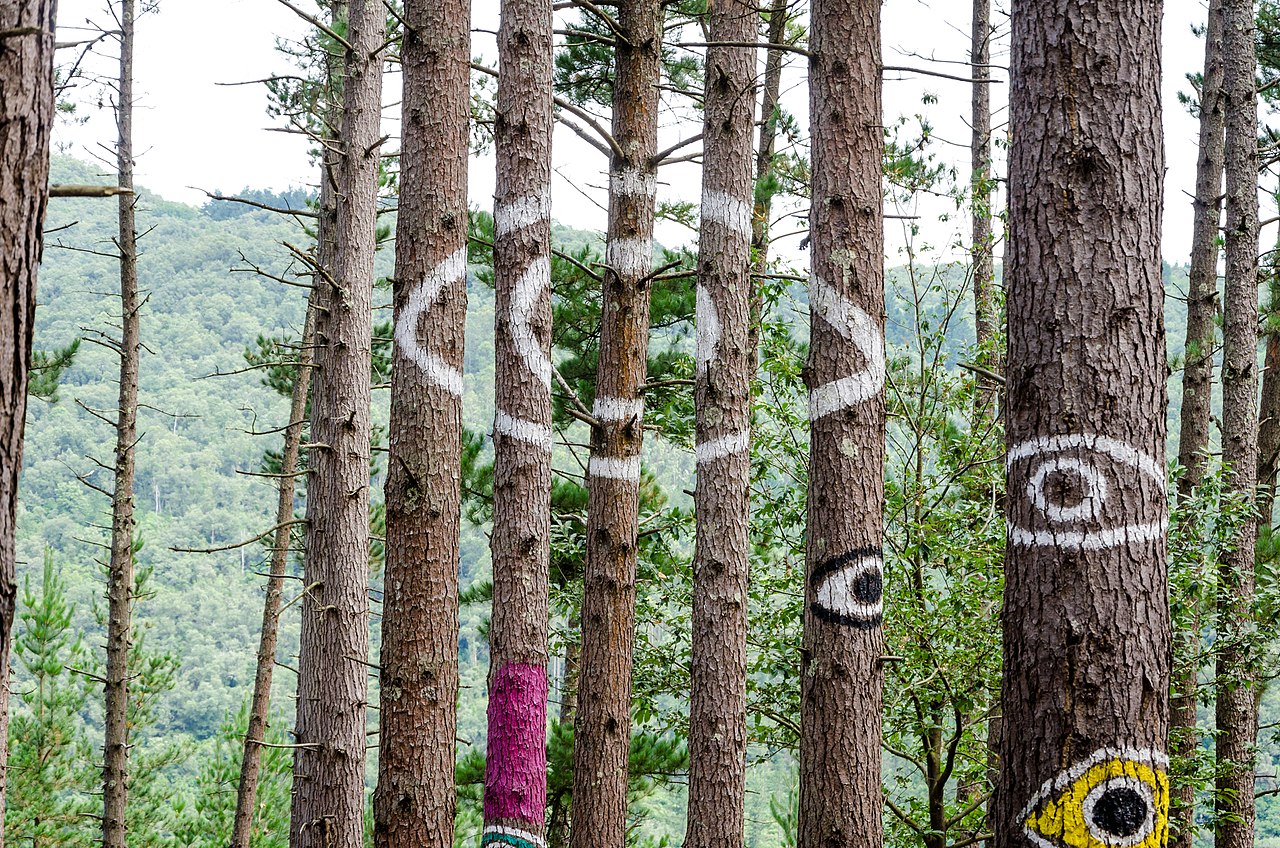 El 'Bosque de Oma' se muere