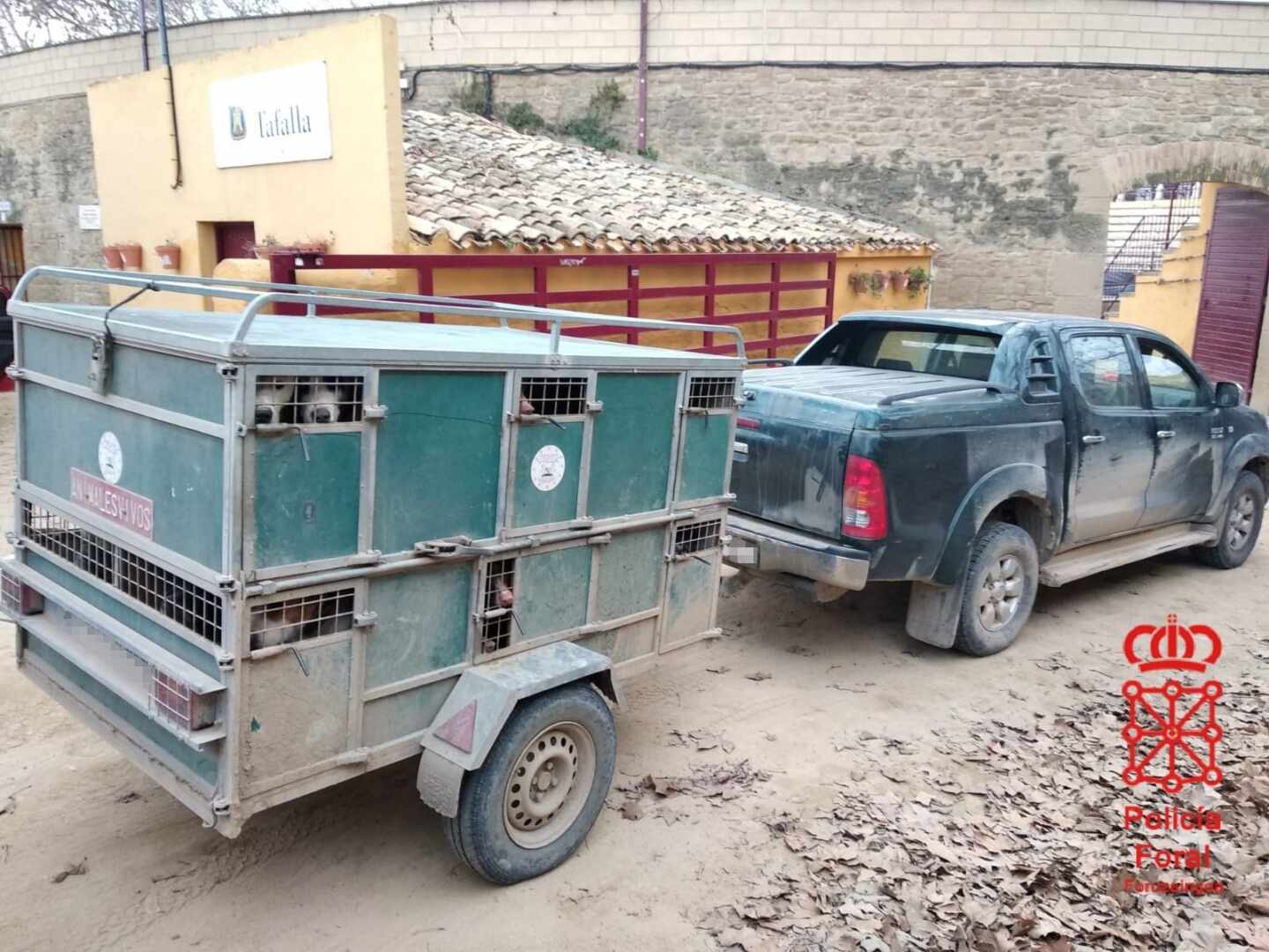 Pillan a un cazador conduciendo bajo los efectos de las drogas y con 23 perros en un remolque