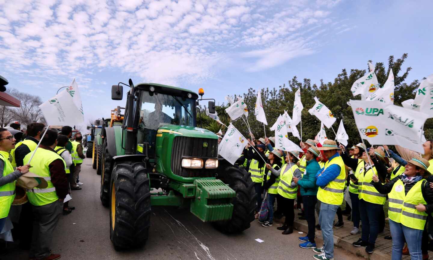 Los agricultores cortan con tractores los accesos a Sevilla a la espera del decreto del Gobierno: "Queremos precios dignos"