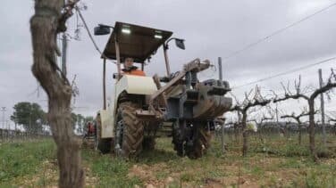Trabajo repartirá 263 millones a los ayuntamientos para que contraten a trabajadores del campo