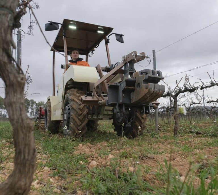 El Gobierno reforzará el control de costes y las promociones para paliar la crisis del campo