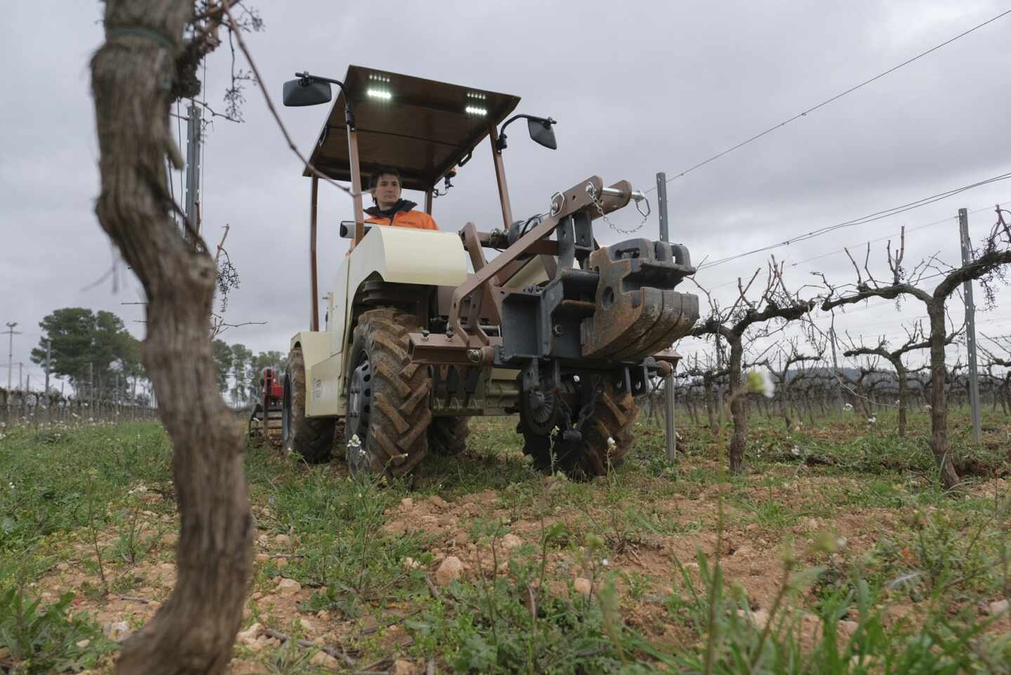 Trabajo repartirá 263 millones a los ayuntamientos para que contraten a trabajadores del campo