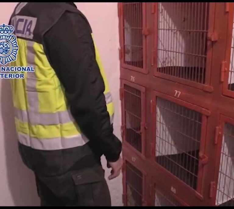 La Policía 'revienta' una pelea de gallos con 200 asistentes en El Puerto de Santa María