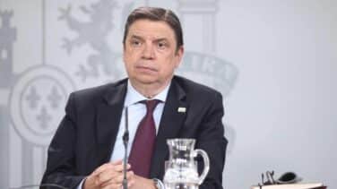 Planas, un ministro proteccionista en un gobierno 'low cost'