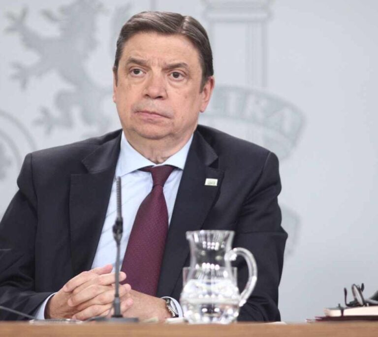 Planas, un ministro proteccionista en un gobierno 'low cost'