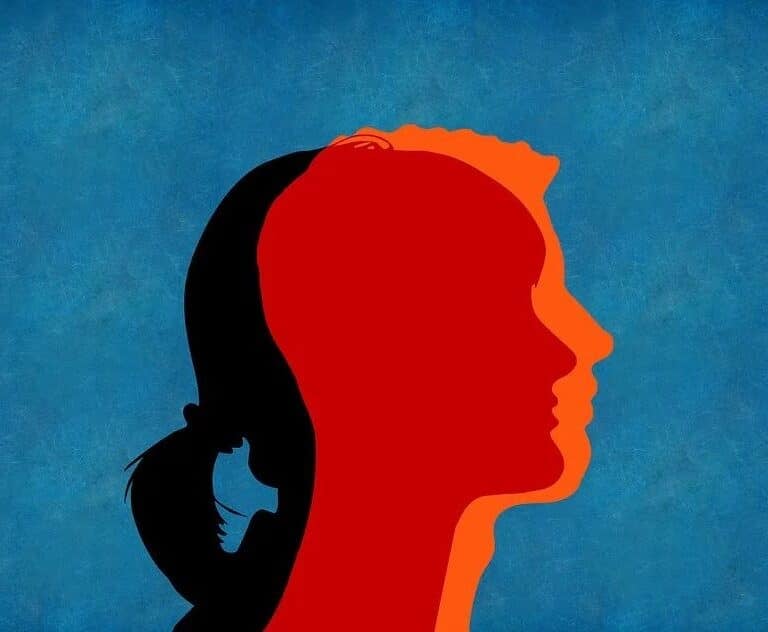 "Tránsfobas y lgtbifóbicas": La guerra entre IU y el Partido Feminista por la Ley Trans