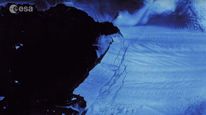 Iceberg