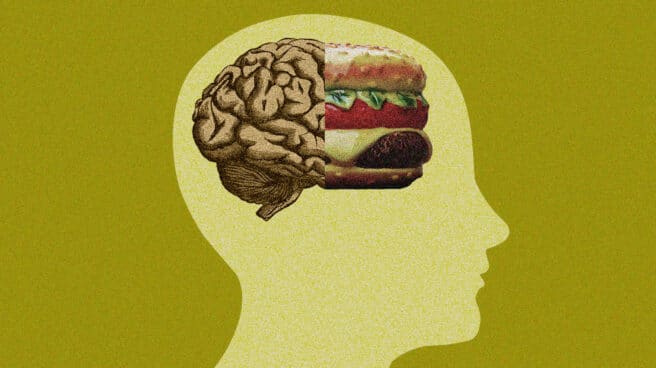 ilustracion-cerebro-hamburguesa-2