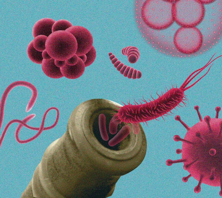 De las enfermedades emergentes al bioterrorismo: un mundo bajo la amenaza biológica
