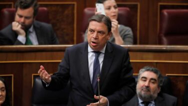 El juez de la Audiencia Nacional amplía la investigación a los móviles de Marlaska y Planas