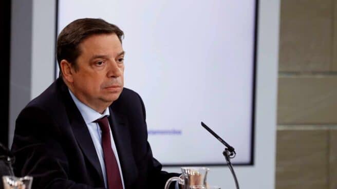 El ministro de Agricultura, Luis Planas.