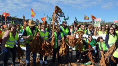 Sánchez se juega en Bruselas el futuro de más de 700.000 agricultores españoles
