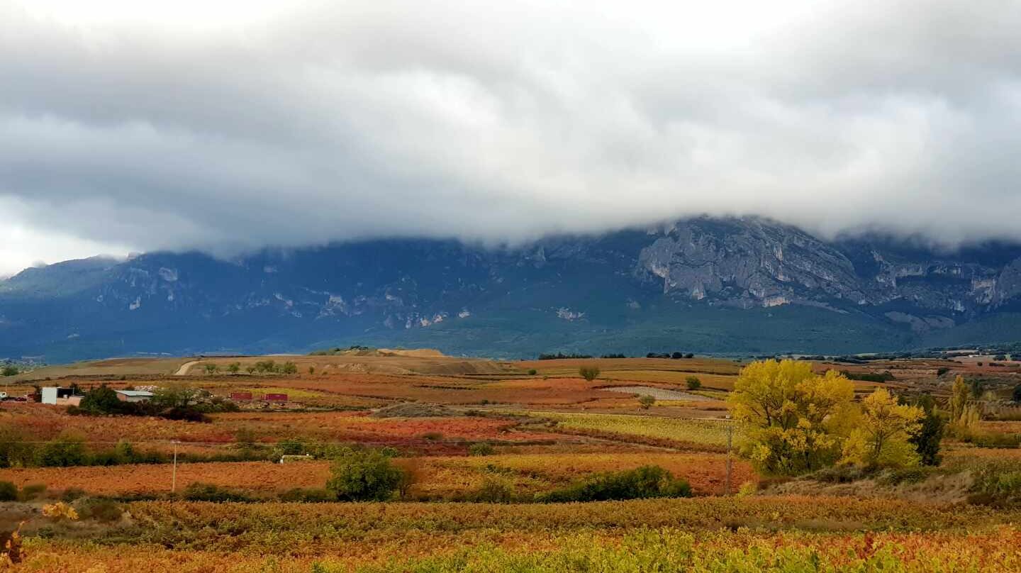 El tinto más caro no es un Rioja... y otras curiosidades del vino español