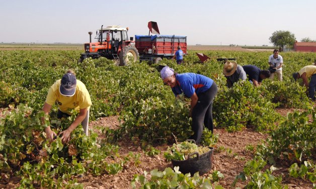 El Gobierno planea aprobar un decreto para incorporar a inmigrantes en el campo