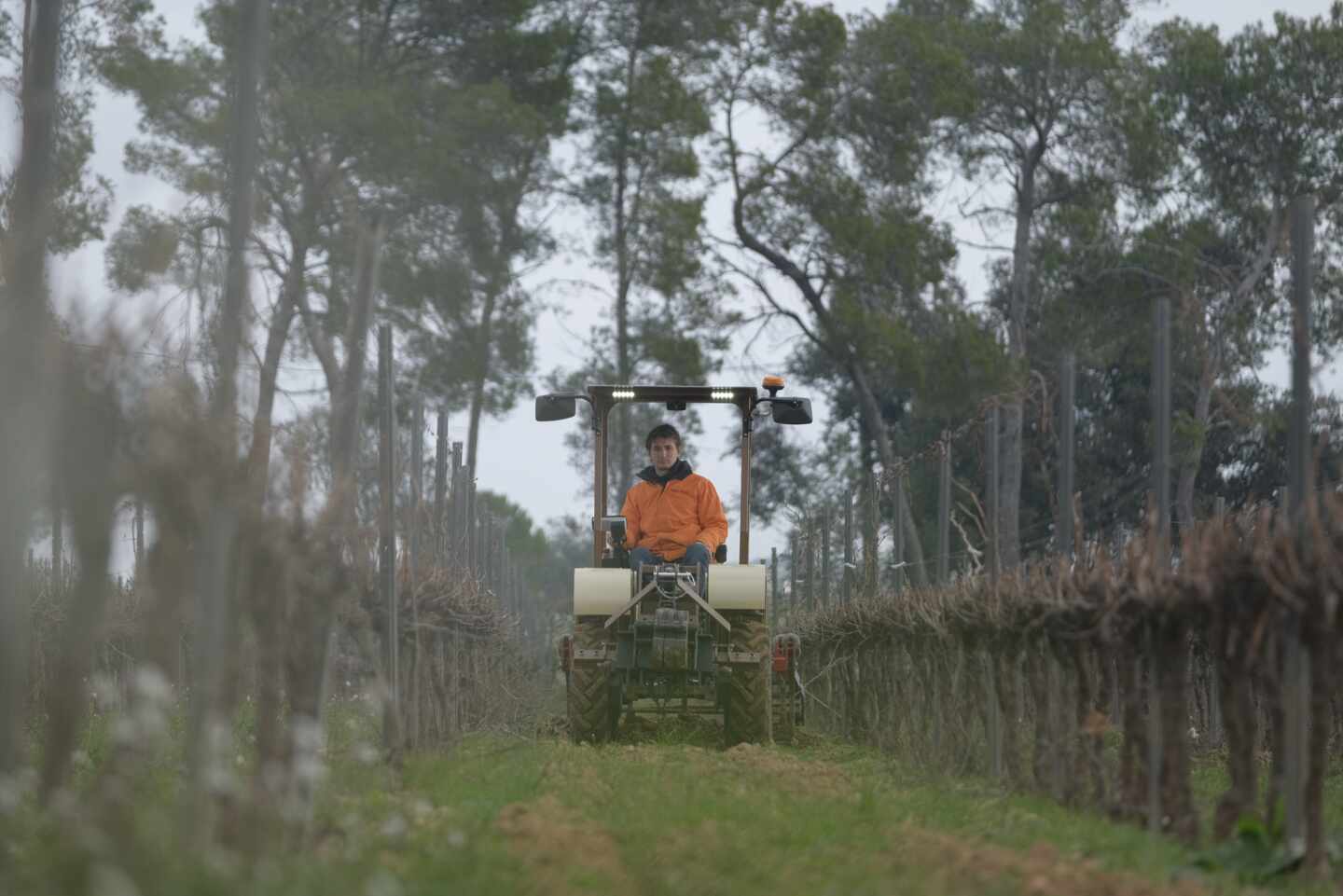 Así es el tractor eléctrico del futuro que puede revolucionar la industria del vino