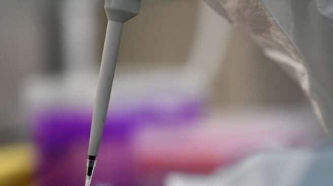 Un investigador trabaja en un laboratorio del centro de prevención y control de enfermedades en Nanyang, en la provincia de Henan, en el centro de China.