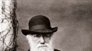 Una teoría de Darwin, probada 140 años después de su muerte