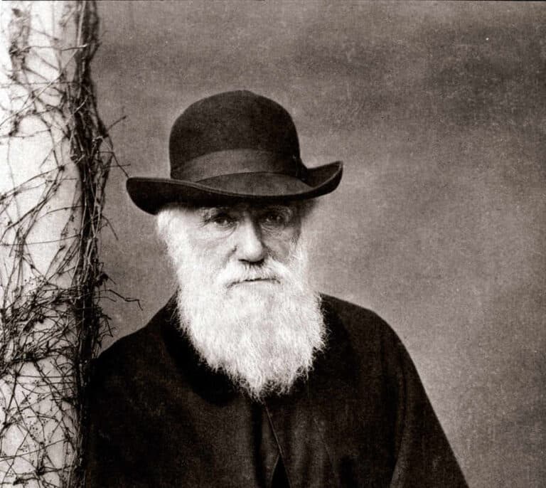 Una teoría de Darwin, probada 140 años después de su muerte