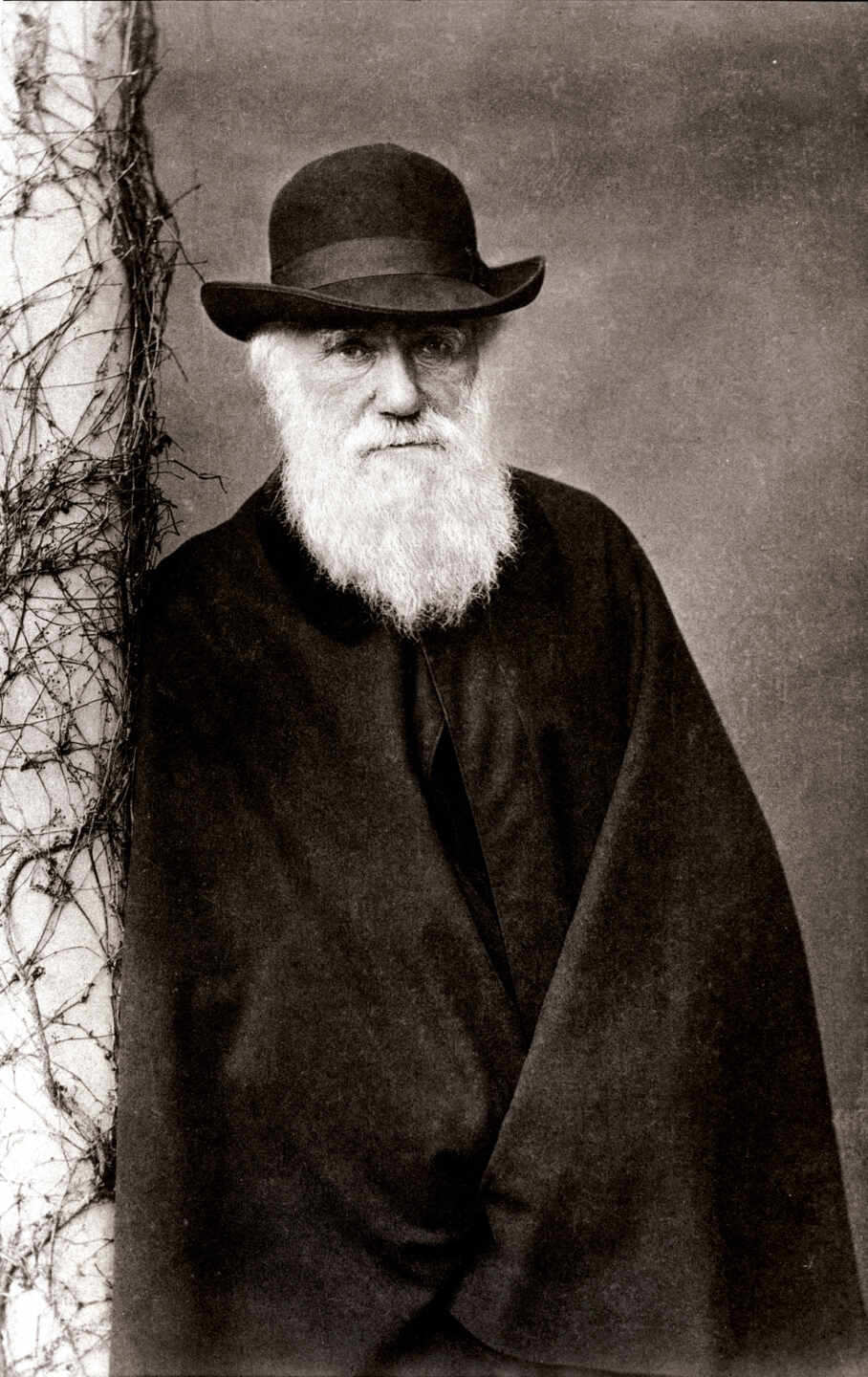Una teoría de Darwin, probada 140 años después de su muerte