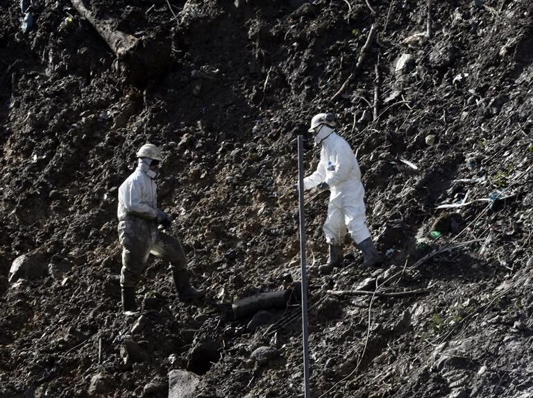 Flores en el vertedero por Alberto y Joaquín