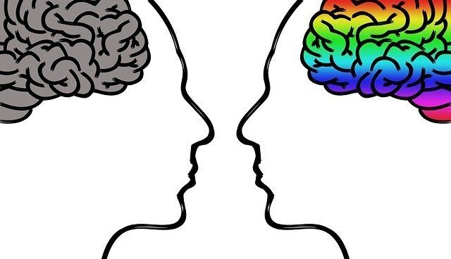 Cerebro