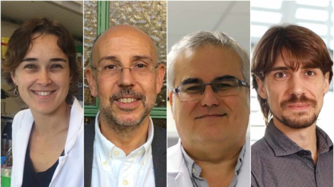 investigadores