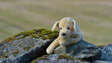 La Policía Nacional apercibe a un ciudadano en Palencia por sacar a pasear a su perro de peluche
