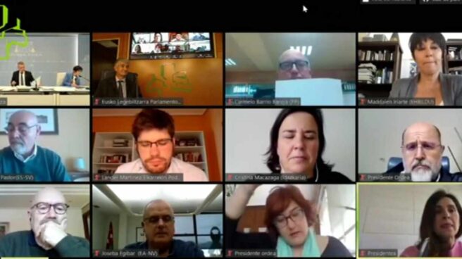 Imagen de la sesión telemática de la Diputación Permanente del Parlamento Vasco celebrada hoy. Imagen de la sesión telemática de la Diputación Permanente del Parlamento Vasco celebrada hoy.