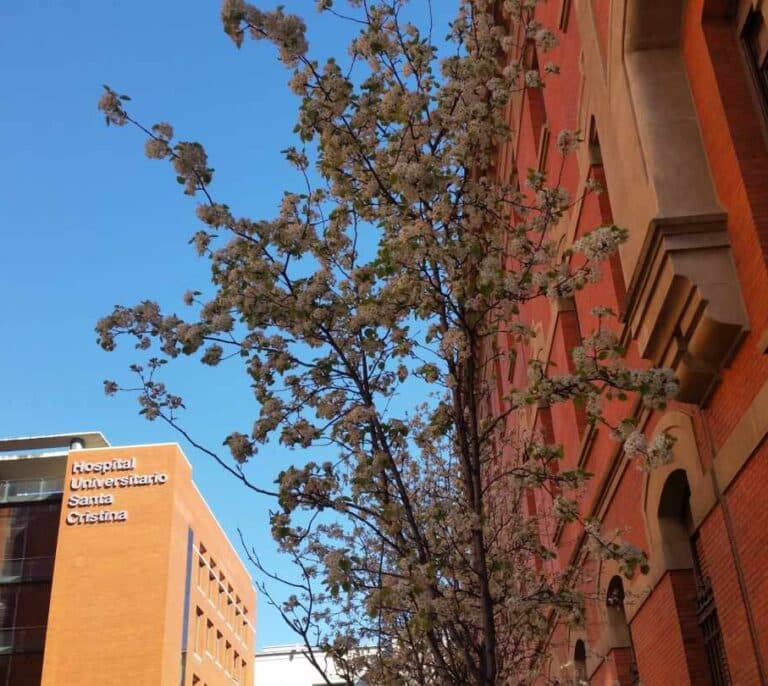 Fallece por coronavirus el director médico del Hospital Santa Cristina de Madrid