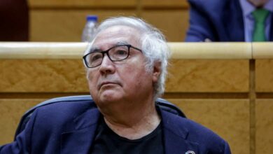 Manuel Castells, el ministro que le ha robado a Iglesias la etiqueta de outsider