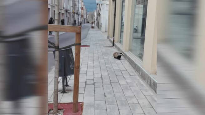 C1133.00_15_06_15.Imagen fija001