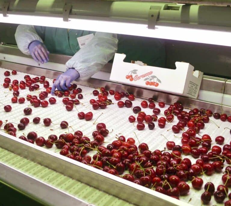 La cosecha de fruta, en peligro si el Gobierno no permite la movilidad en el campo