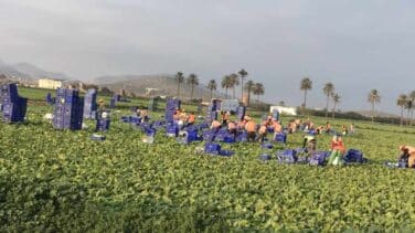 El Gobierno permitirá la actividad en los huertos a partir del sábado