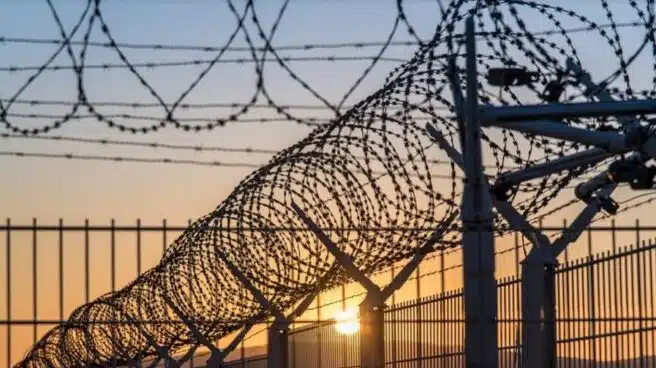 Ex reclusos, sobre el confinamiento: "Es una libertad presa"