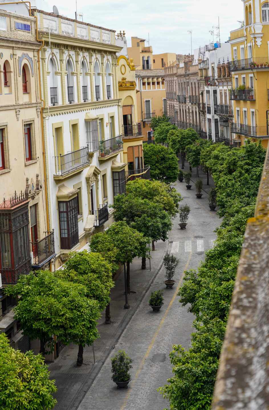 Siete detenidos en Sevilla por intentar controlar a tiros una barriada