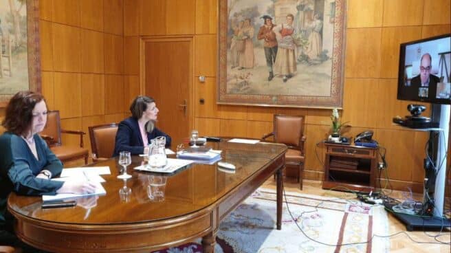Imagen de la reunión telemática entre el Ministerio de Trabajo y ATA.