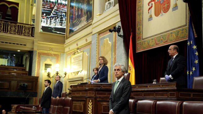 Pleno del Congreso durante el estado de alarma.
