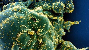 La transmisión aérea del coronavirus: los consejos de los científicos