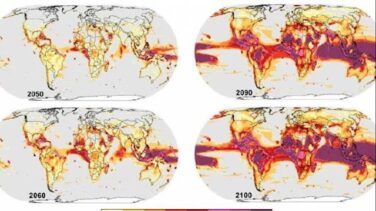 El cambio climático puede desatar pérdidas catastróficas de biodiversidad