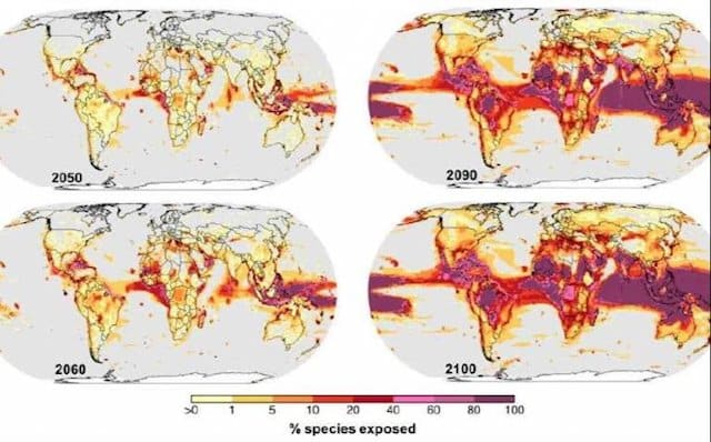 El cambio climático puede desatar pérdidas catastróficas de biodiversidad