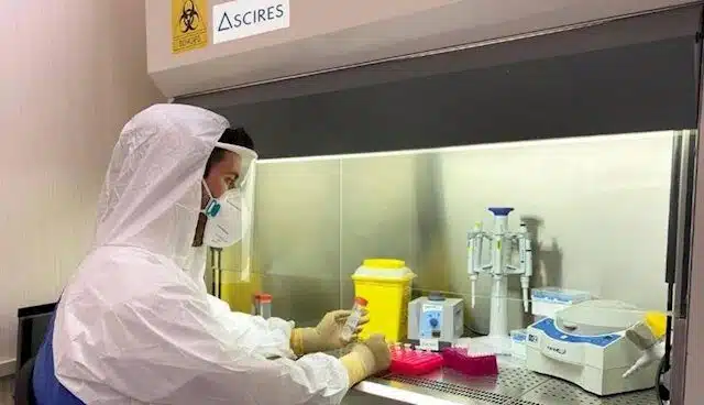 Veterinarios denuncian la "infrautilización" de más de 50 laboratorios que podrían hacer millones de test