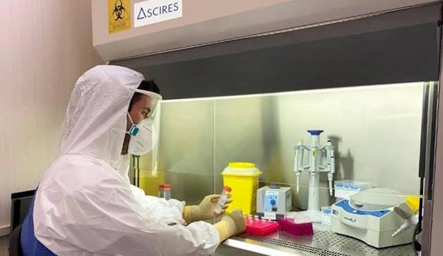 Veterinarios denuncian la "infrautilización" de más de 50 laboratorios que podrían hacer millones de test