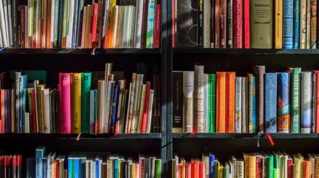 'Sigue Leyendo', la plataforma que quiere ayudar a mantener vivas las librerías