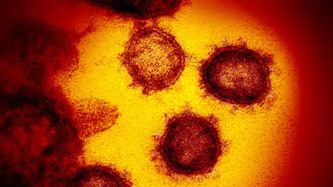Las epidemias que aún nos acechan: "Hemos tenido suerte con el nuevo coronavirus"
