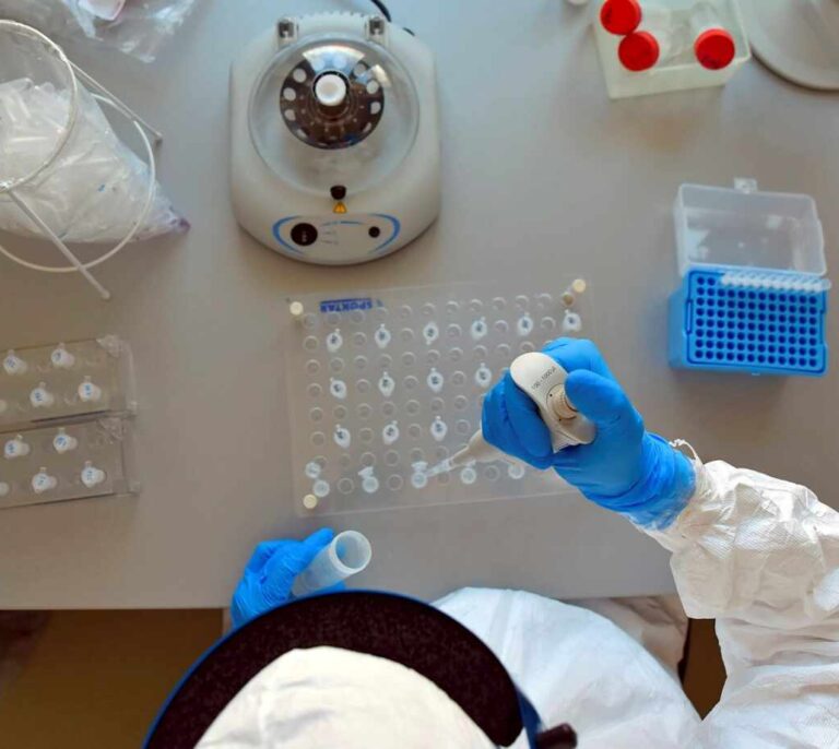 ¿Qué es el nuevo virus de gripe aviar H10N3 detectado en China?