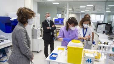 Euskadi renueva el equipo de informes Covid-19 tras la renuncia de su responsable