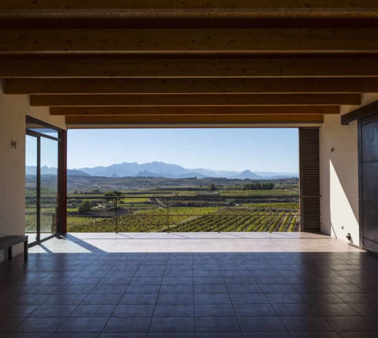 La viña sigue, el vino durante la pandemia