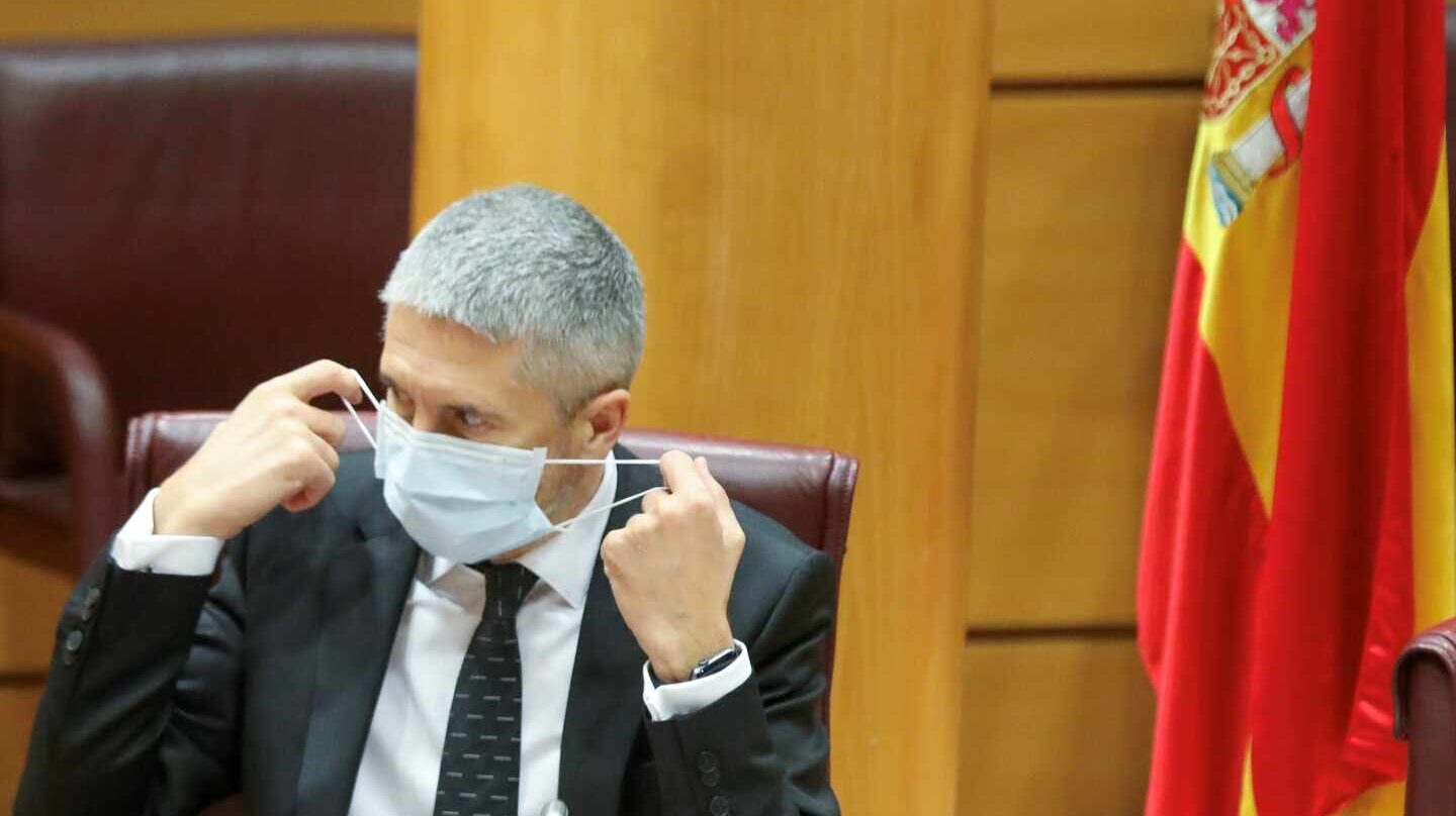 El ministro del Interior, Fernando Grande-Marlaska, este viernes en el Senado.