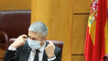 Señal en directo: siga la comparecencia de Marlaska en el Senado